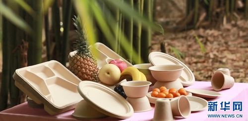 七十二變，竹產業(yè)拔節(jié)向上——環(huán)保科技賦能傳統(tǒng)產業(yè)煥新