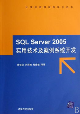 SQL Server 2005實(shí)用技術(shù)及案例系統(tǒng)開發(fā) 附光盤的計(jì)算機(jī)應(yīng)用案例學(xué)習(xí)指南